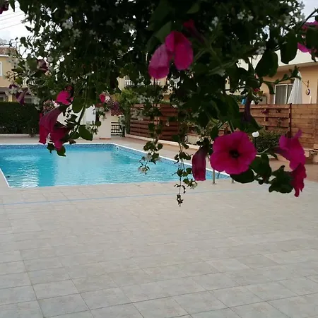 Ivoton * Paphos